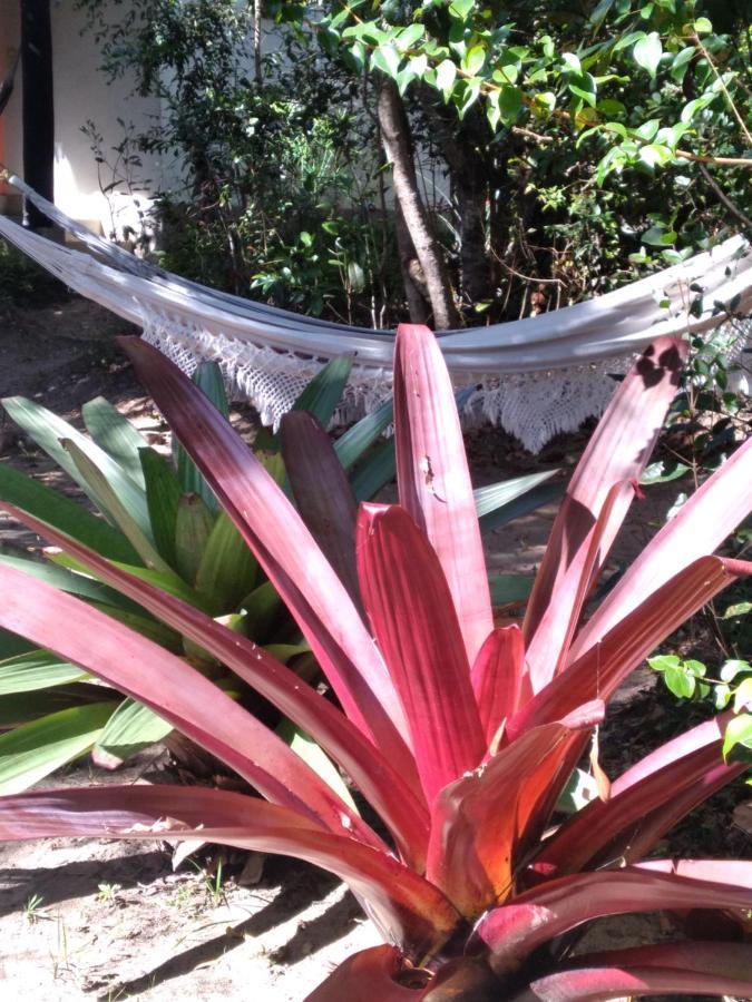 Pousada Do Pequi Hotel São Gonçalo do Rio das Pedras Exterior foto